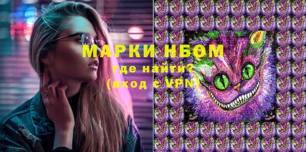 бошки Елабуга