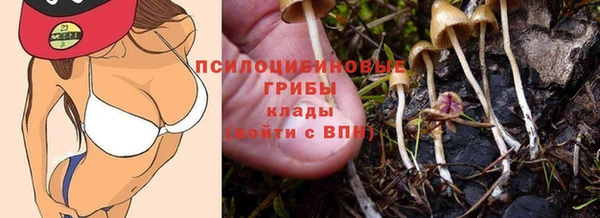 бошки Елабуга