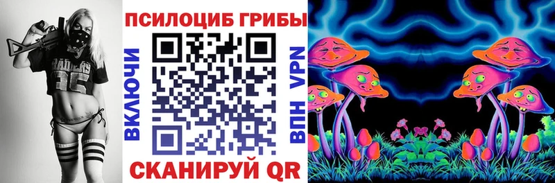 Купить где Макушино Галлюциногенные грибы Psilocybe