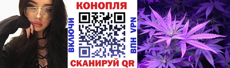 Купить где Макушино Бошки Шишки сатива